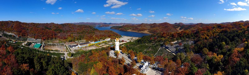 园区全景