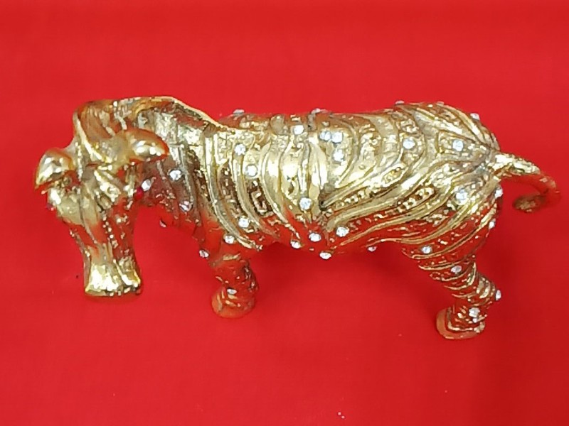 金马